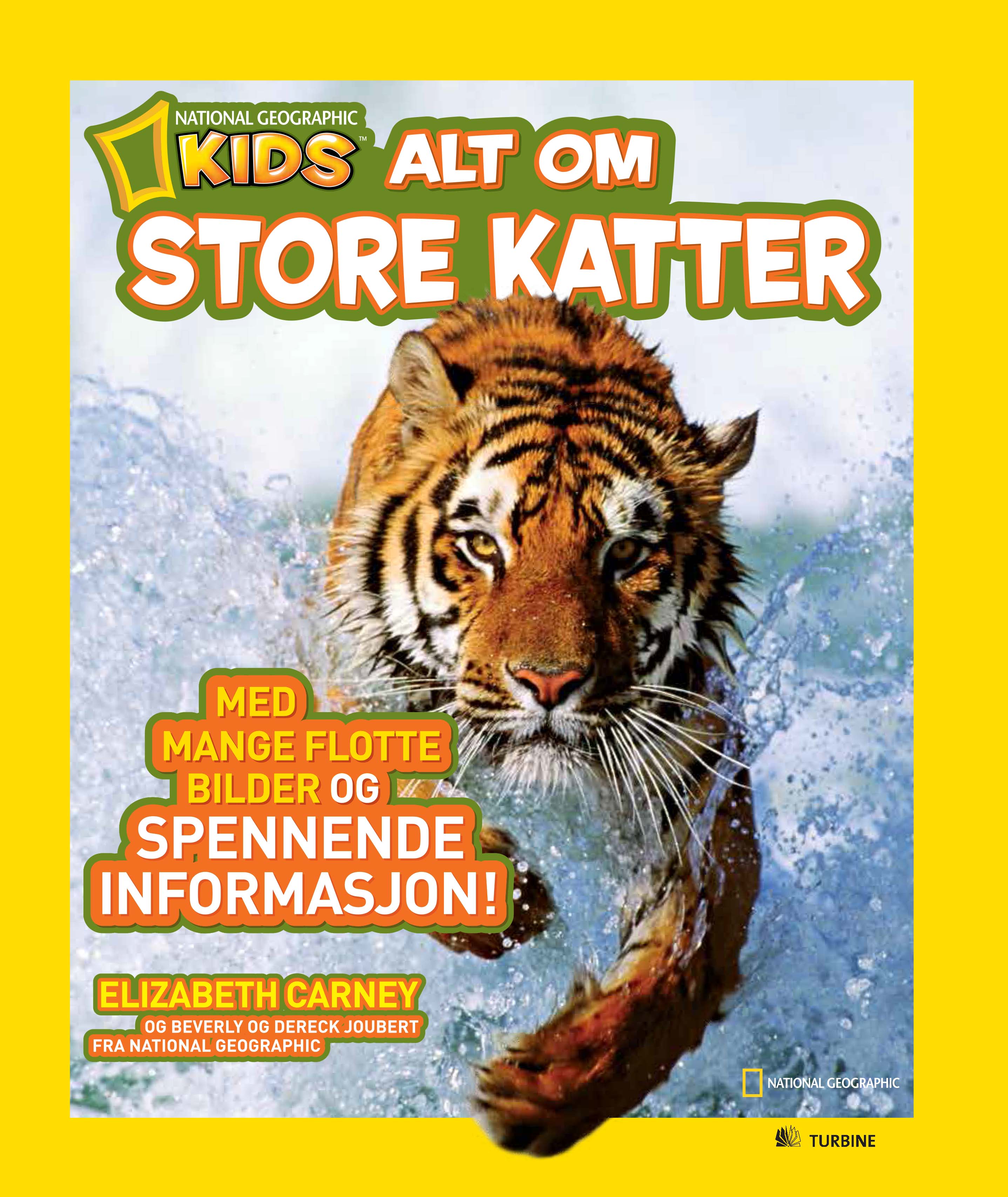 Alt om store katter