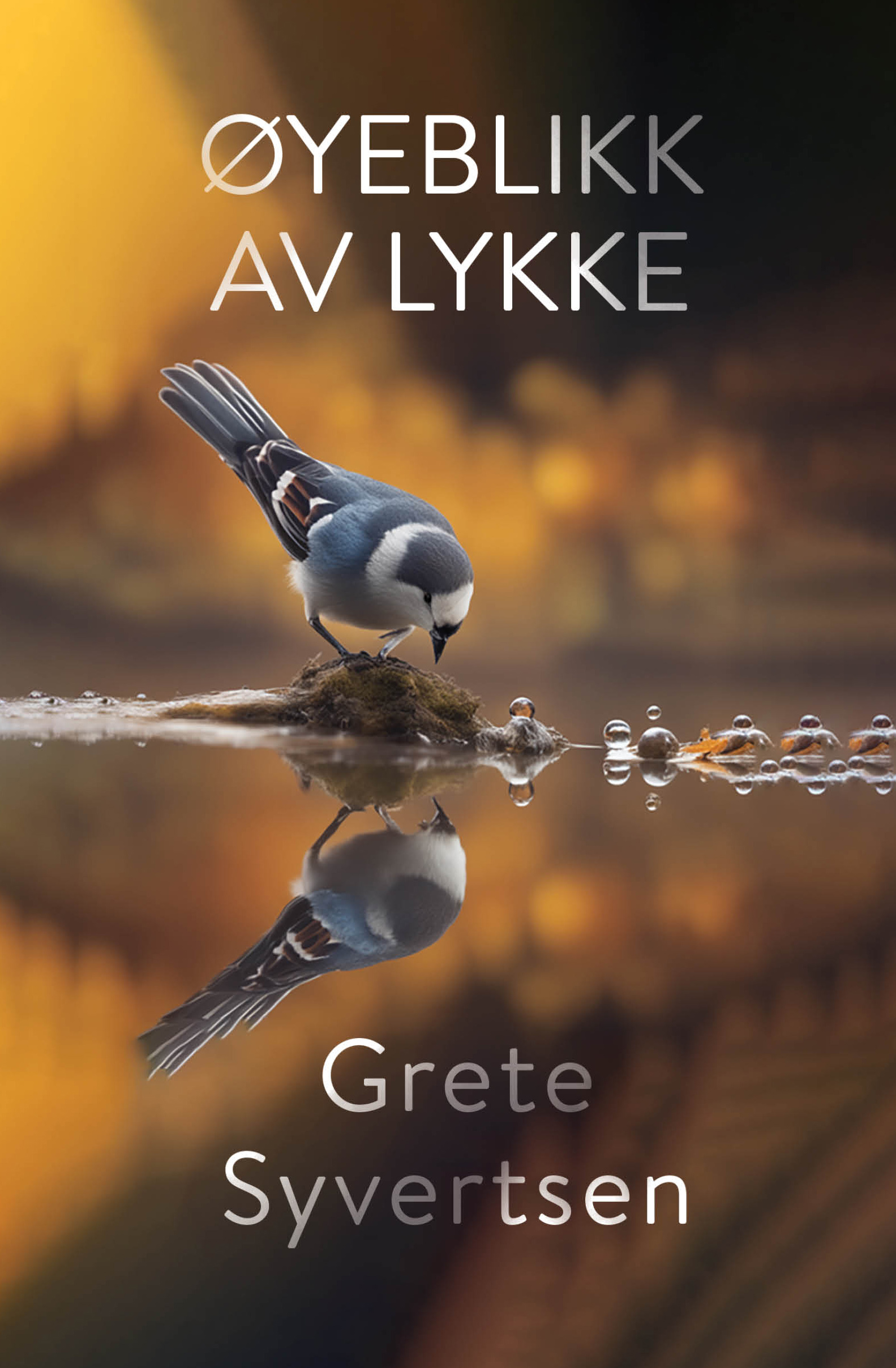 Øyeblikk av lykke